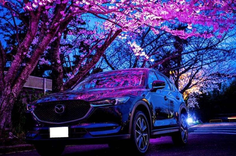 CX-5オーナー様の素敵な一枚♡