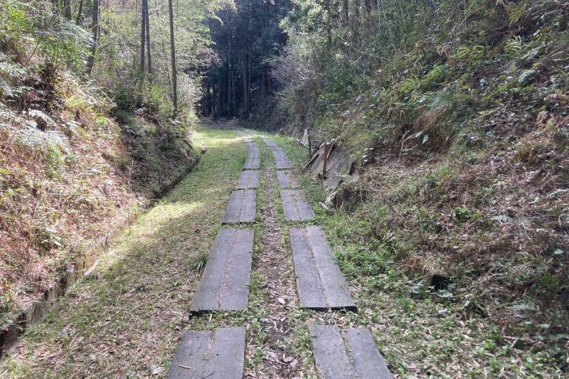 遊歩道としてしっかり整備されています。