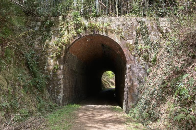 夏場の草の多い時期に行けばもっと神秘的な写真が撮れそうです。