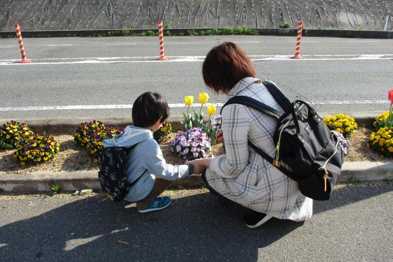 今が見頃です♪