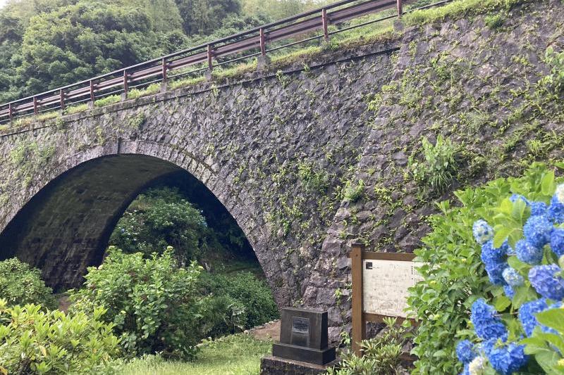 蕾の紫陽花の方が多かったので見頃は6月中旬ぐらいになりそうです。