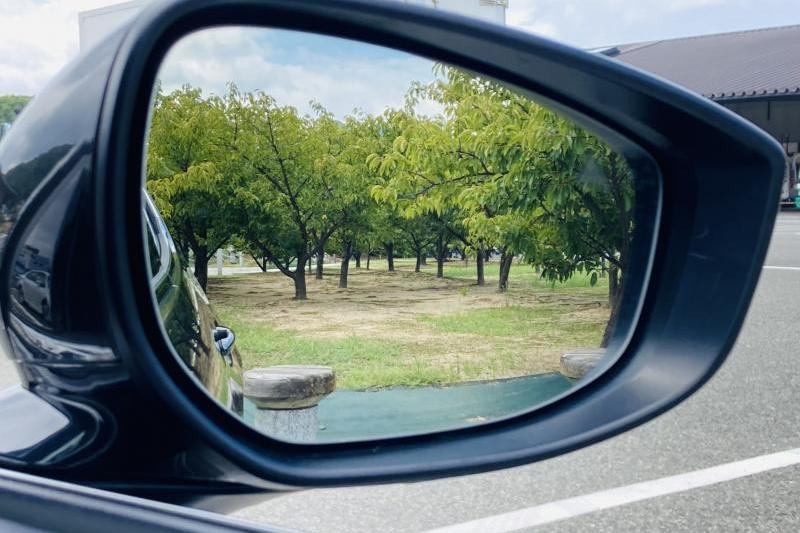 MAZDA3 FASTBACKのドアミラー越しの河津桜。