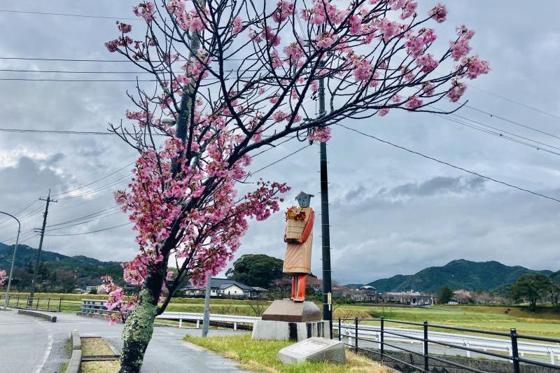 陽光桜と「おもちゃ」