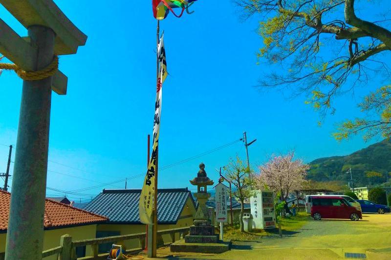 桜の舞う空も青空いっぱいです。