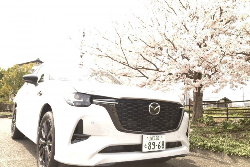 CX-60と桜です。NO.2