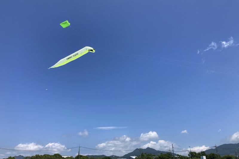 上空には空飛ぶハモが！