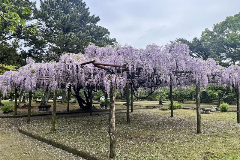 萩城跡指月公園大人220円