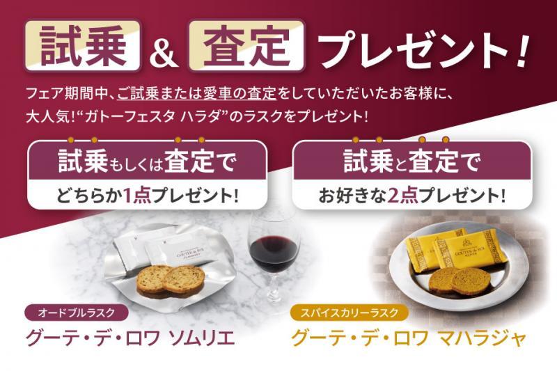 無くなり次第、終了となりますのでお早めに！