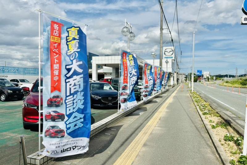 真夏の大商談会開催中です！！