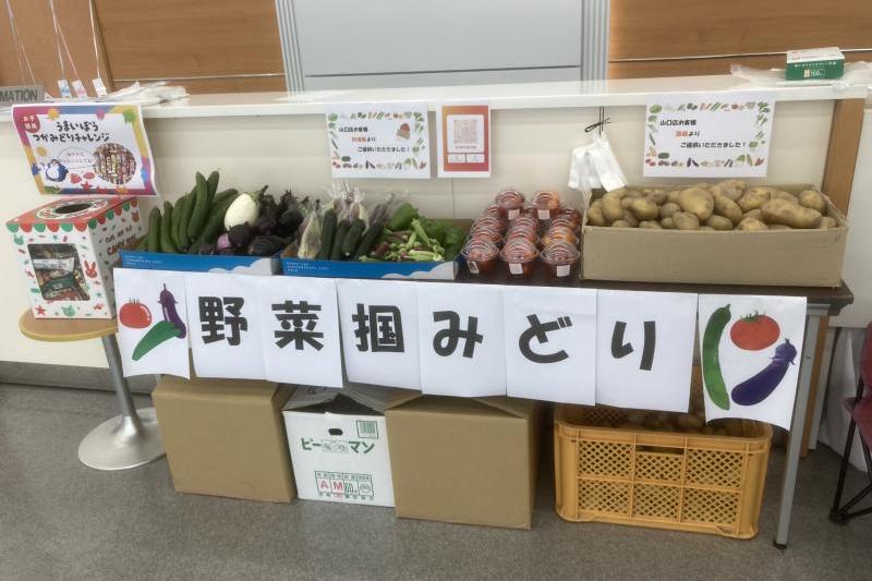 是非挑戦下さい！