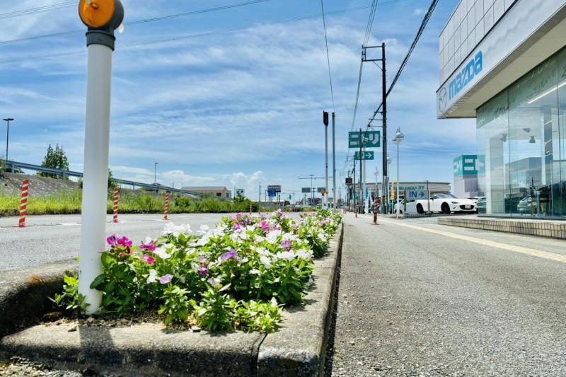 当店は2020年から国土交通省の「ボランティア・サポート・プログラム」に参加し、店舗前の国道190号線沿い、距離標25k830から25k930までの約100メートルの区間で、植樹帯の美化清掃活動を継続的に行ってきました。