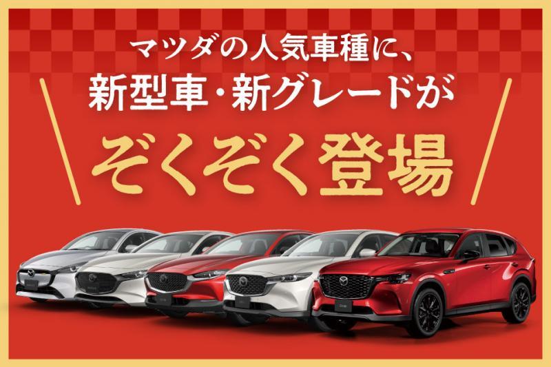 中古展示車も多く台数取り揃えております