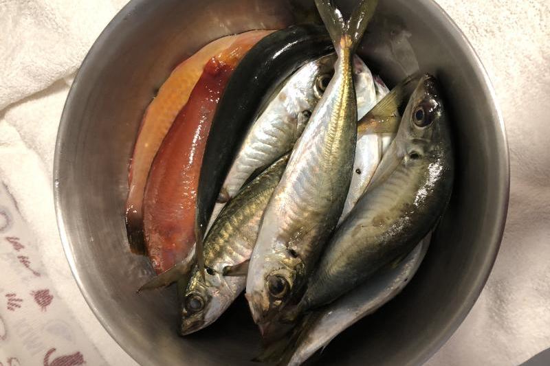久しぶりに釣行してきました♪