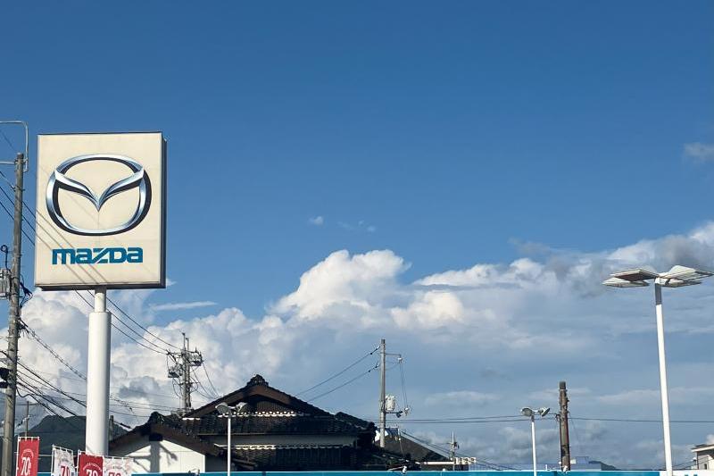 秋はまだか…