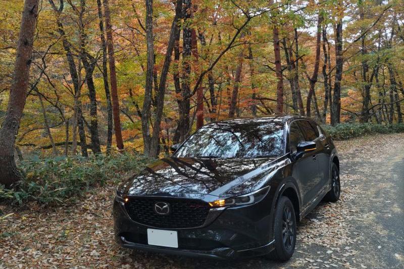 CX-5と紅葉。