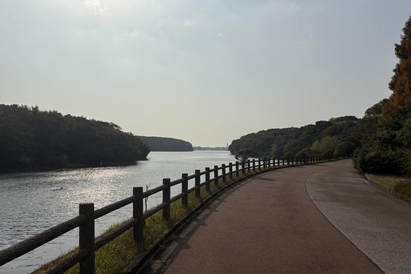 湖を囲むコースです