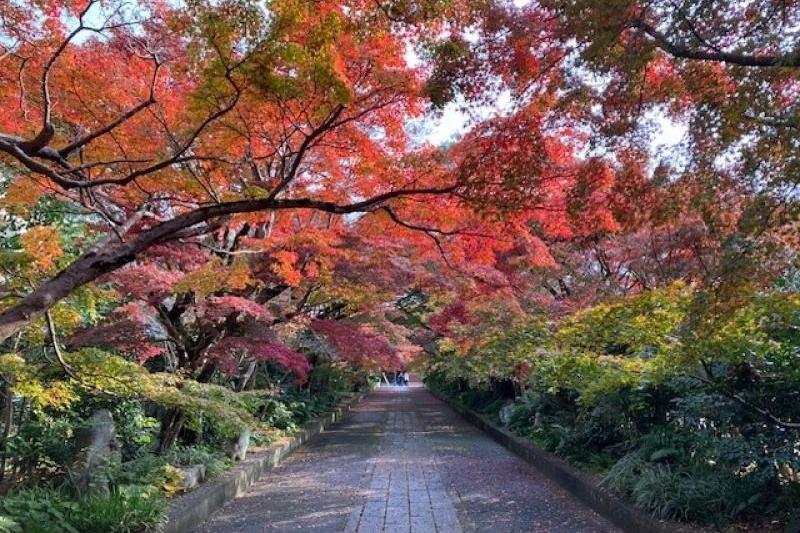 山口市の龍福寺