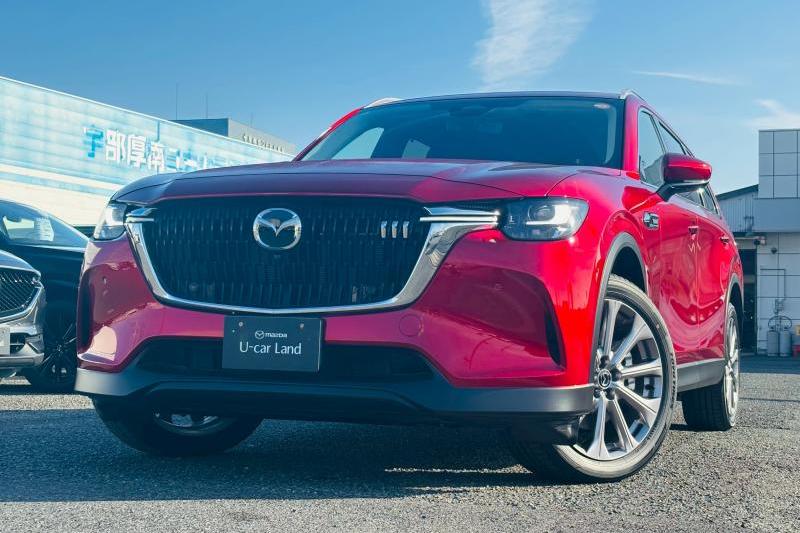 令和6年9月登録、当社デモカー（試乗車）として大切に使用してきた1台です。