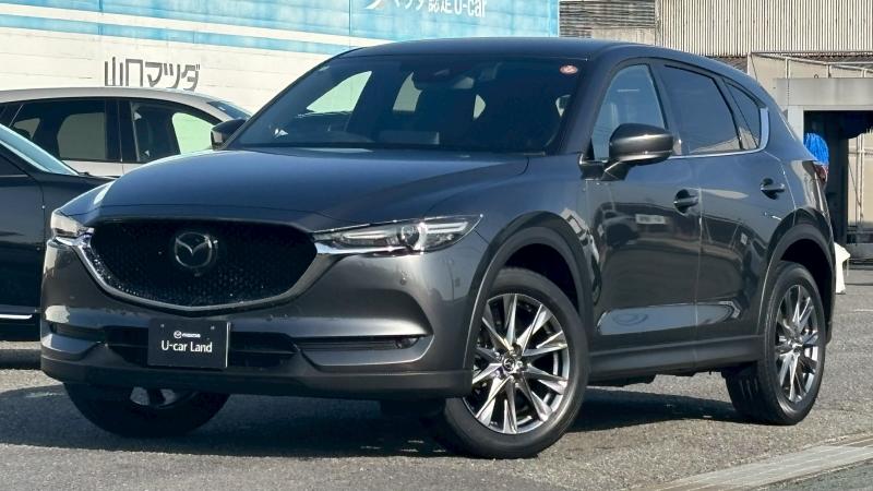 充実装備のワンオーナー車です