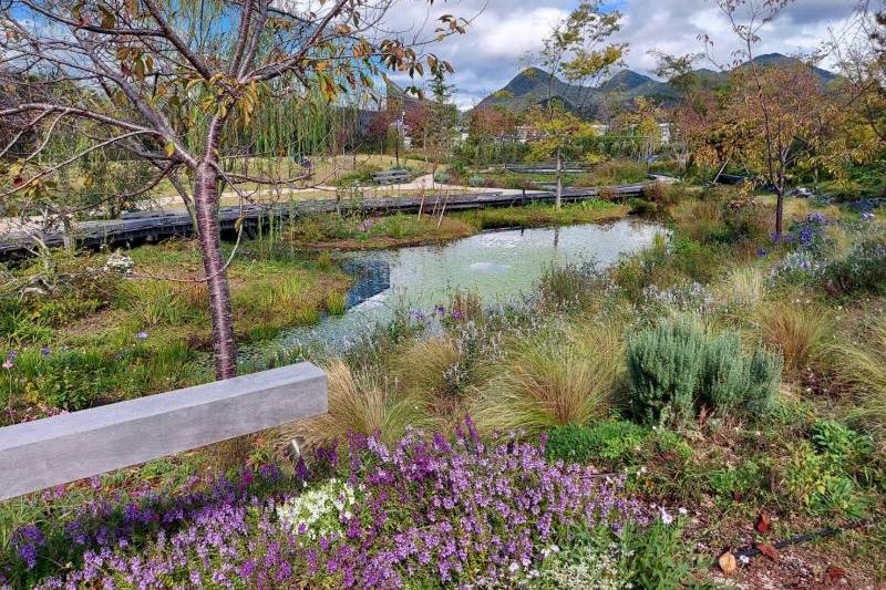 広島 秋の下瀬美術館の風景④