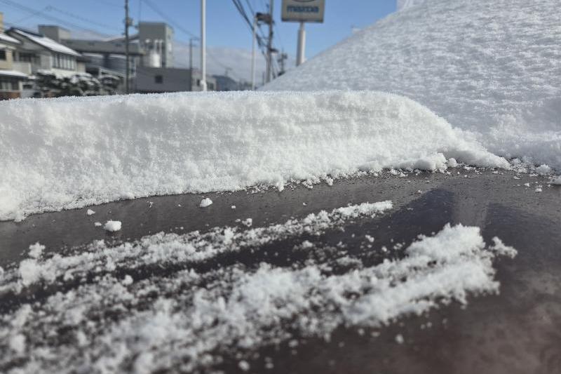 6cmも積もってました