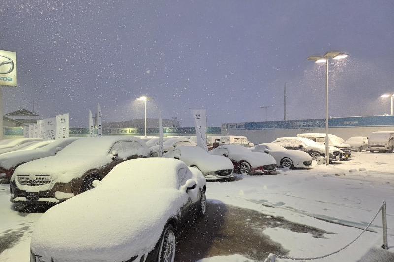 夜の雪 幻想的です