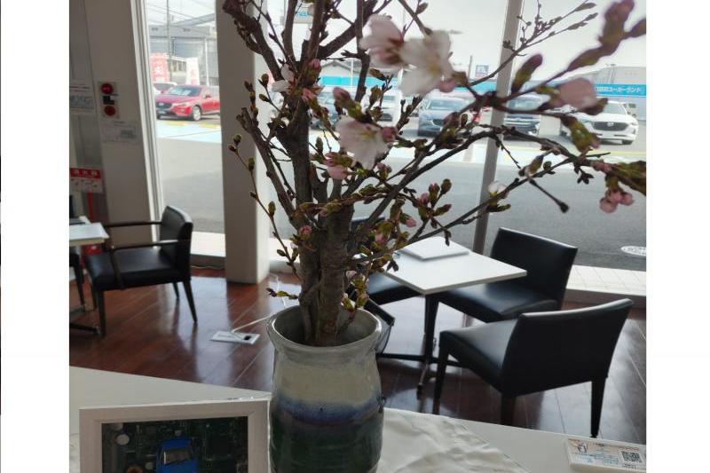 １年の間に数日しか見れないなんて